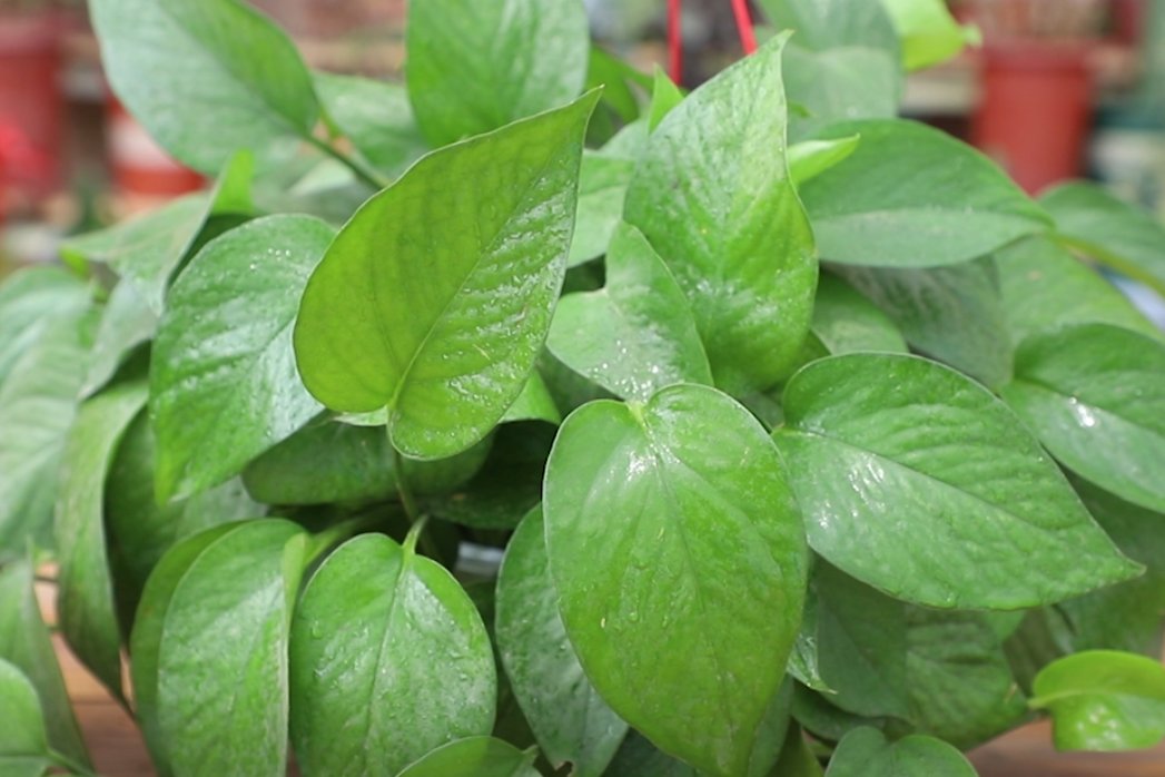 Schwaller Thibauld tweet media