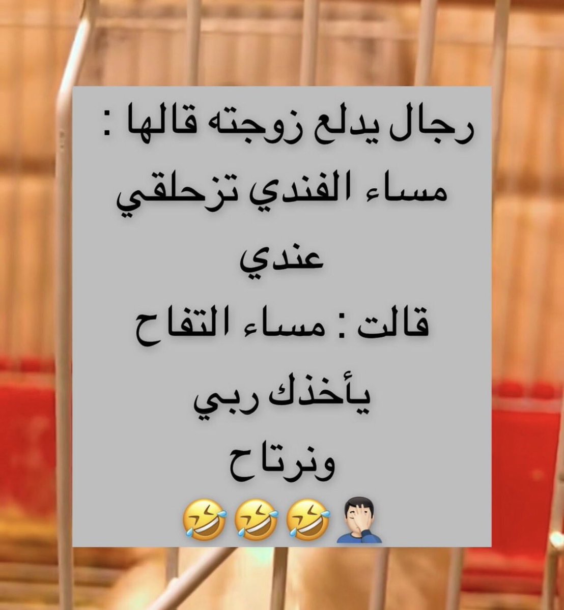 ☞𓄂𓆃بنت الشيوخ𓄂𓆃☞ tweet media