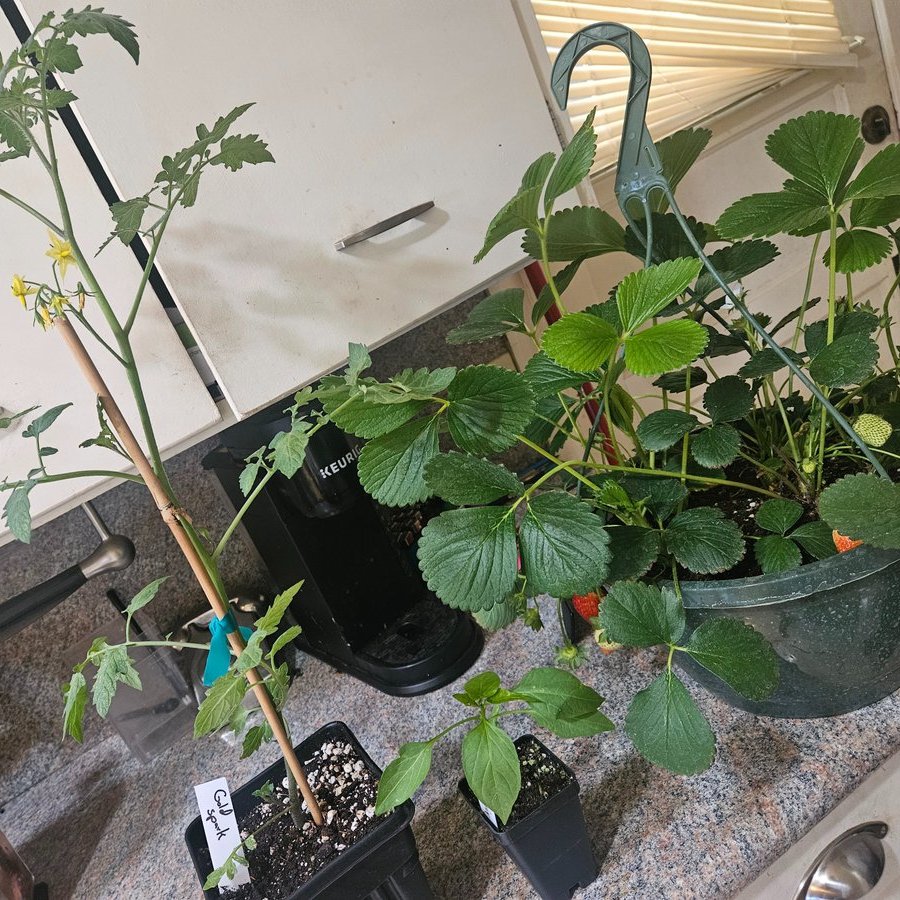 Realemilyhaze tweet media