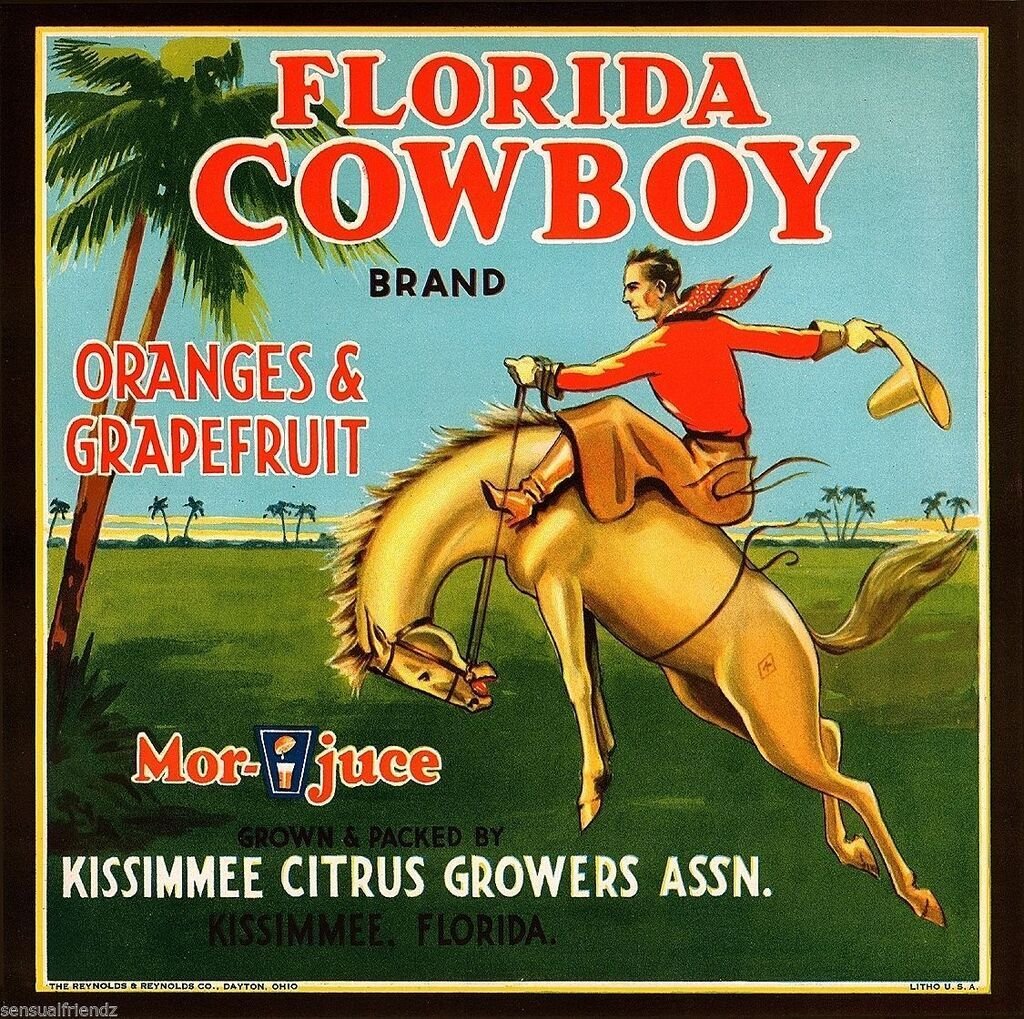 jerrykimbro1's tweet image. Have you had your Florida orange juice today? 
Fun  Fact: Florida crackers were America's FIRST cowboys! Oh YEAH! #floridacrackers #cowboys #orangejuice