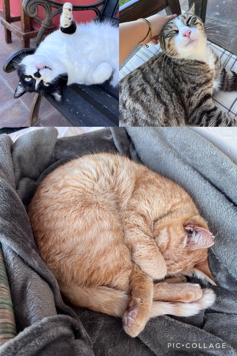 chiattil22's tweet photo. Perché quanto vi amo non so spiegarlo. Siete tutto quello che ho❤️ la mia famiglia, insieme ai miei e a mia sorella https://t.co/mWrmD9Xmm6