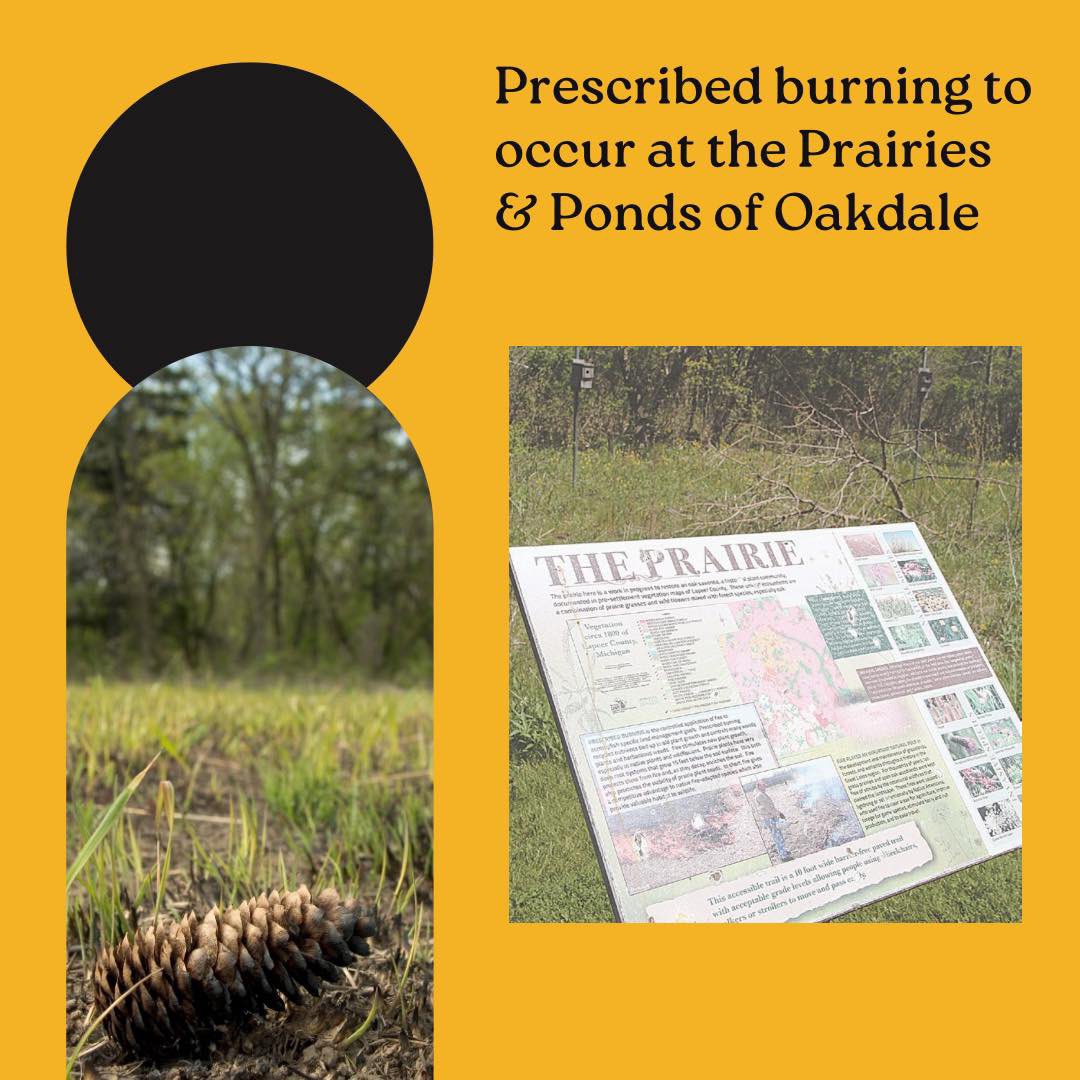 lapeerfd's tweet photo. Prescribed burning is now COMPLETE at the Prairies &amp; Ponds of Oakdale!

This vital land management tool helps restore native ecosystems, control invasive species, and promote healthy regrowth. Thank you for your patience as we completed this important ecological work. https://t.co/fZiZMPWB9E