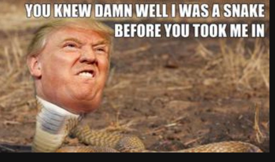 g90opklnm's tweet image. America First? Sounds like ur just trying to repackage the MAGA shit sandwich in a slightly different wrapper. The real #wokeright recognizes what needs to done.