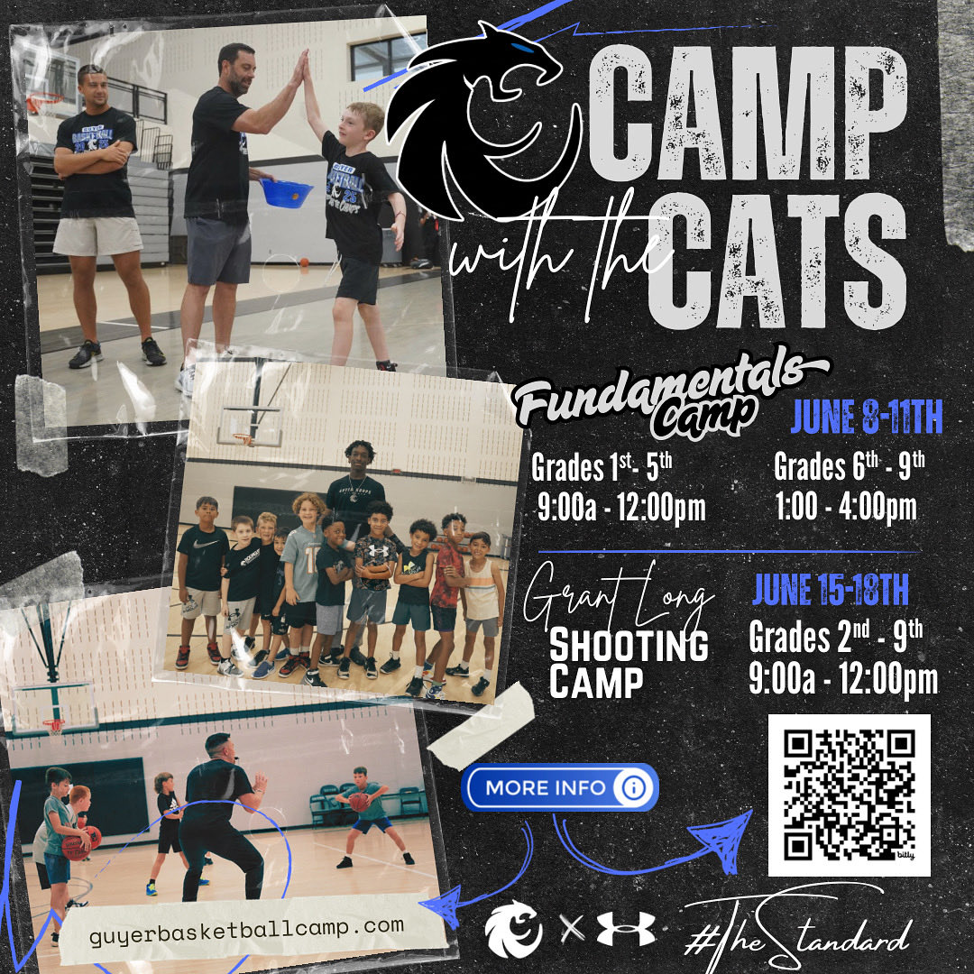 Wildcat Basketball tweet media
