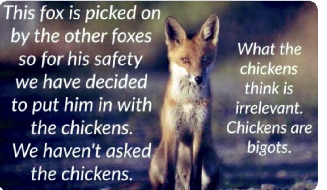 Carla Lasagne tweet media