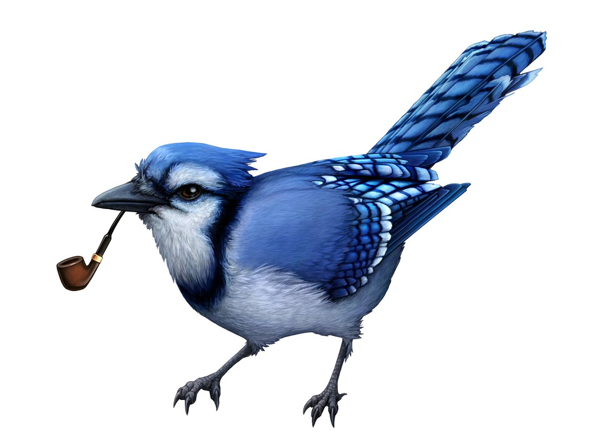 BlueJay tweet media