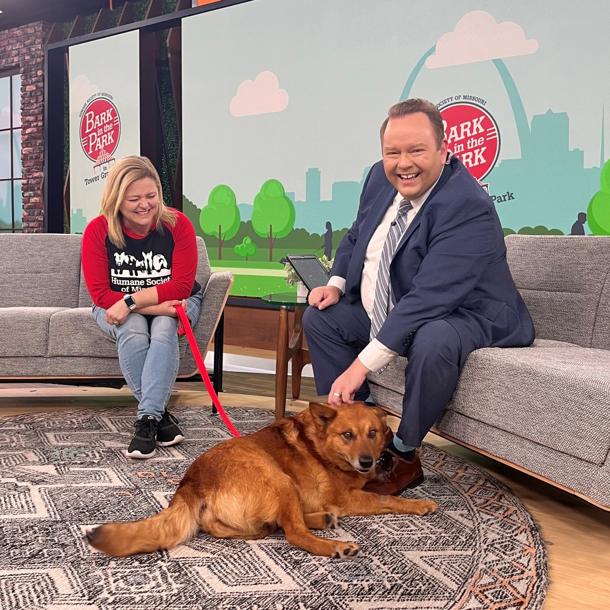 Humane Society of Missouri tweet media