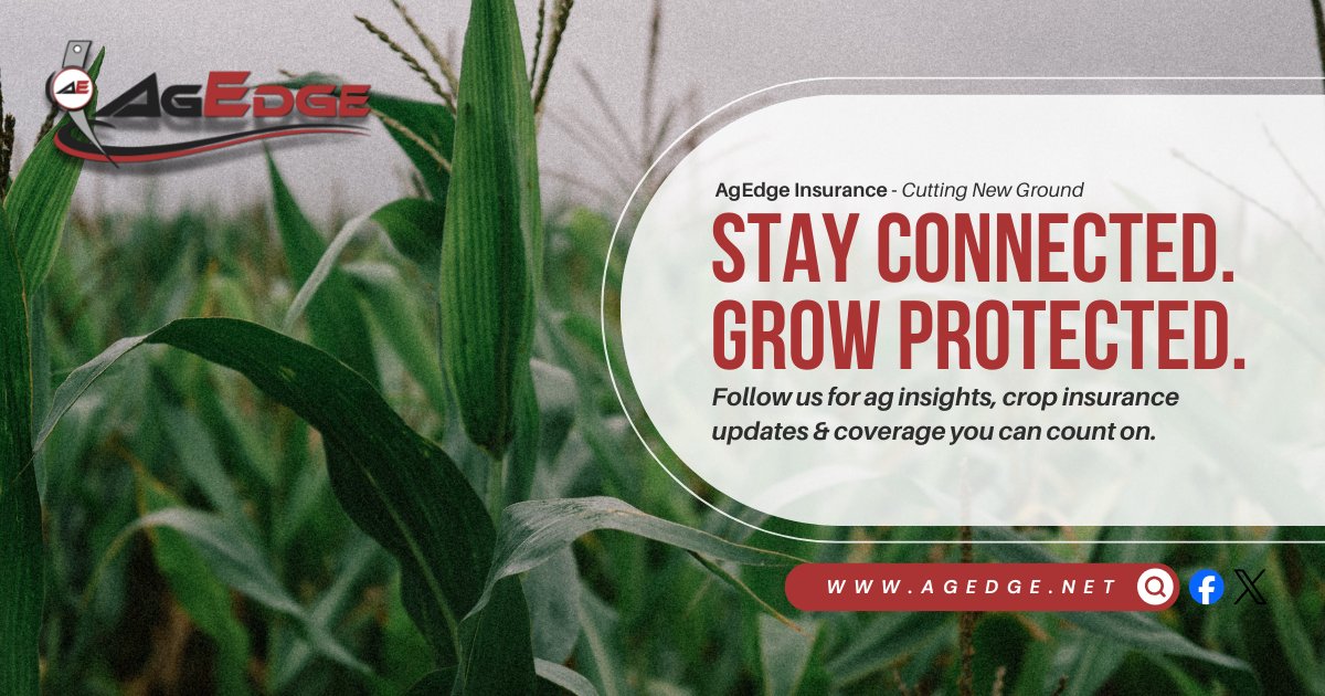 AgedgeInsurance's tweet photo. Farming is full of unknowns—your coverage shouldn’t be.

Stay connected with AgEdge Insurance for crop insurance updates, ag insights &amp; protection you can trust all season.

👉 Learn more: https://t.co/jC364JEY5T

#AgEdgeInsurance #CropInsurance #AgInsights #FarmSmart https://t.co/7yolA6BLSR