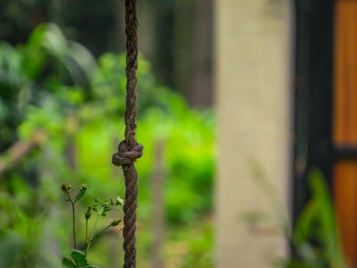 Aranea_Artes's tweet photo. Nudos y flores
La vida no espera a que la suelten.
#photography #fotografia #nature https://t.co/p3yPWqjS8y