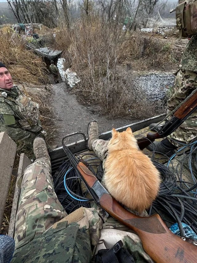 Imperatoris✝️☦️⚔️🗡️ tweet media