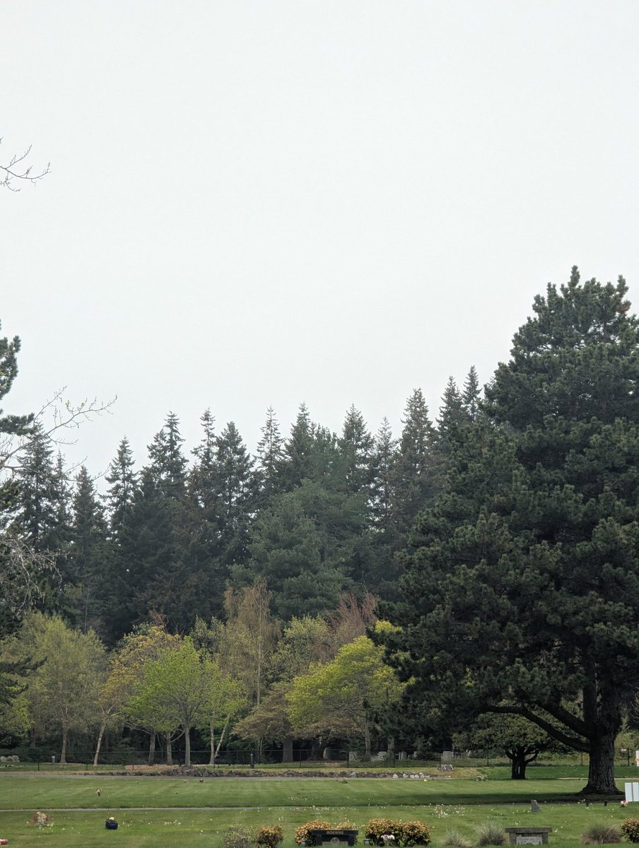 Shawty know I'm gay tweet media