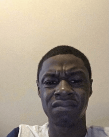 NAVI zenfox tweet media