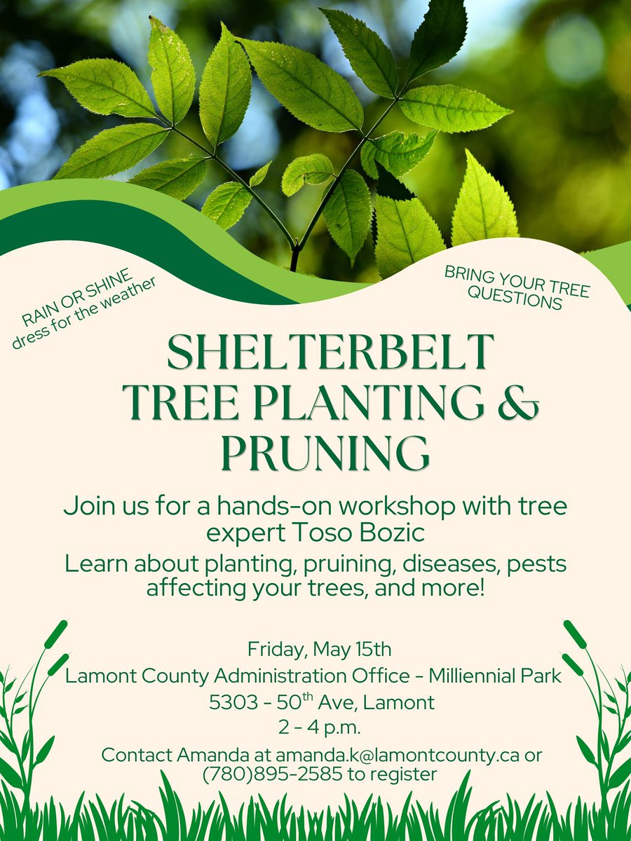 LamontCounty's tweet image. #LamontCounty - Shelterbelt Tree Planting &amp;amp; Pruning #Workshop - May 15 in Lamont - #ASB #AG #Pruning #Pests #Trees 

Join tree expert Toso Bozic to learn about planting, pruning, diseases, pests affecting your trees, and more!

Attend the FREE workshop to learn more!