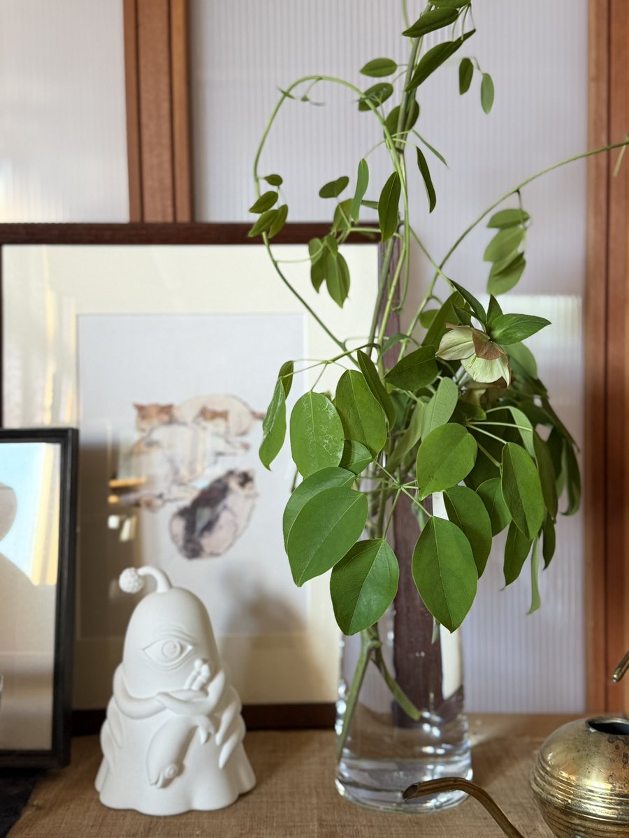 おはようございます。
今朝も薄ら寒い。
すましているけど背中の毛がボサボサな猫。
切っても切っても伸びて絡みつく郁子の枝を負けずに切って生ける朝。