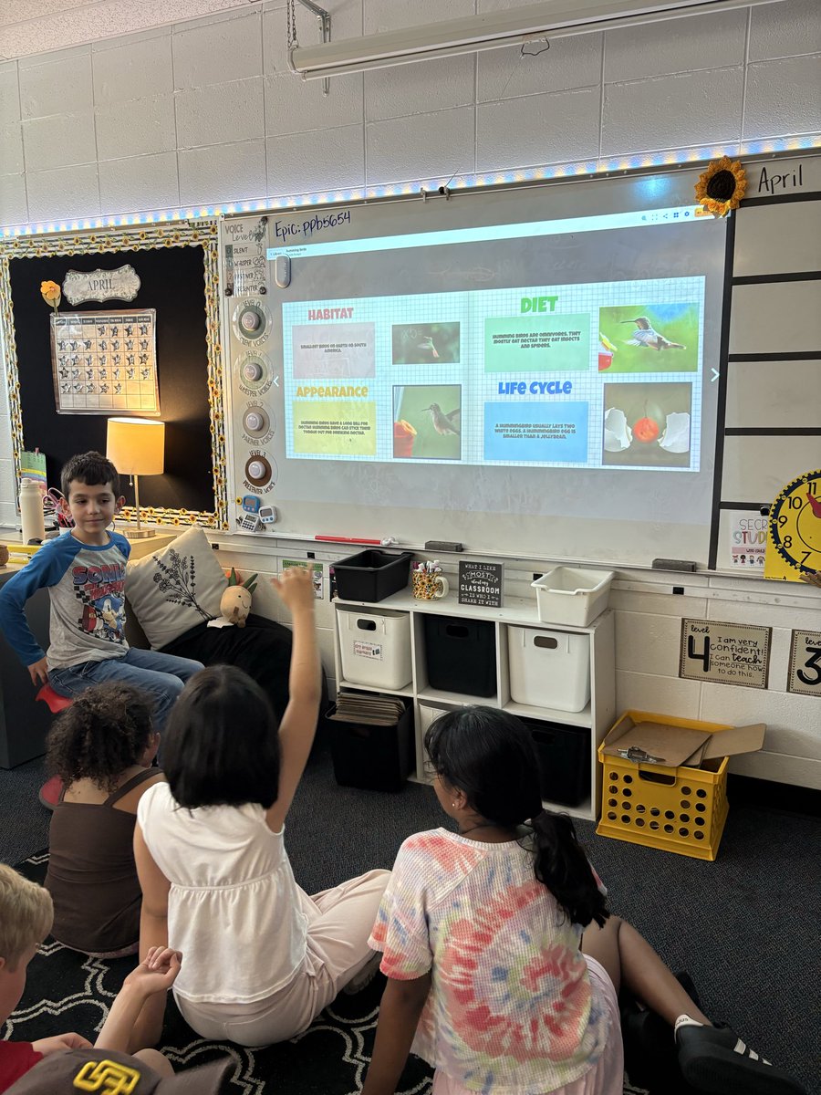 DahmClass3's tweet photo. Sharing our animal research books!
#ivyhillleague https://t.co/6Pj5VAxqun