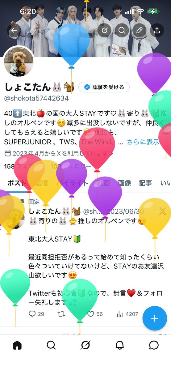 しょこたん🐰🐿 tweet media