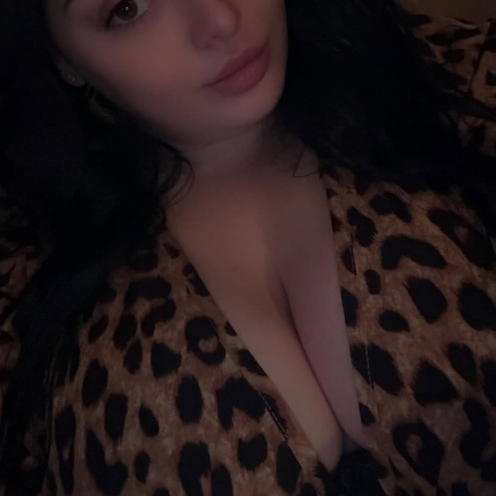 شروق tweet media