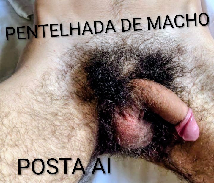 DIVULGAÇÃO DE MACHOS ALFAS SUPERIORES tweet media