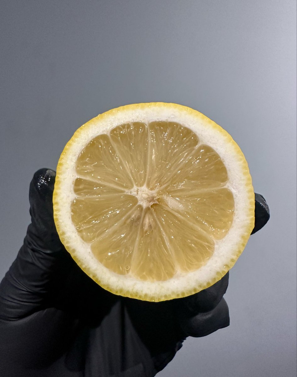 INOMUSIKI tweet media