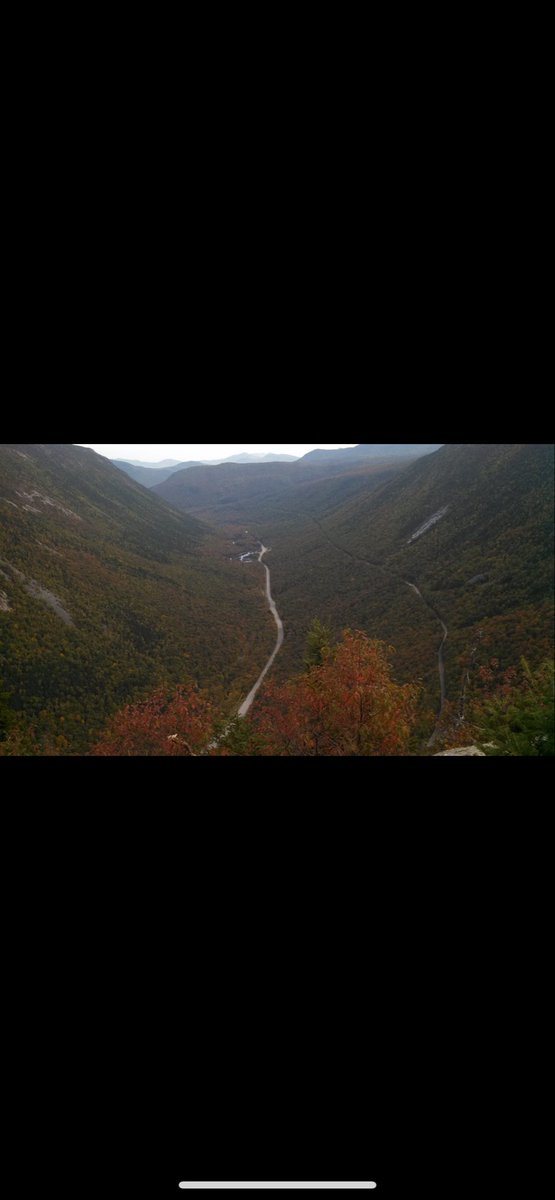 Kathleen tweet media