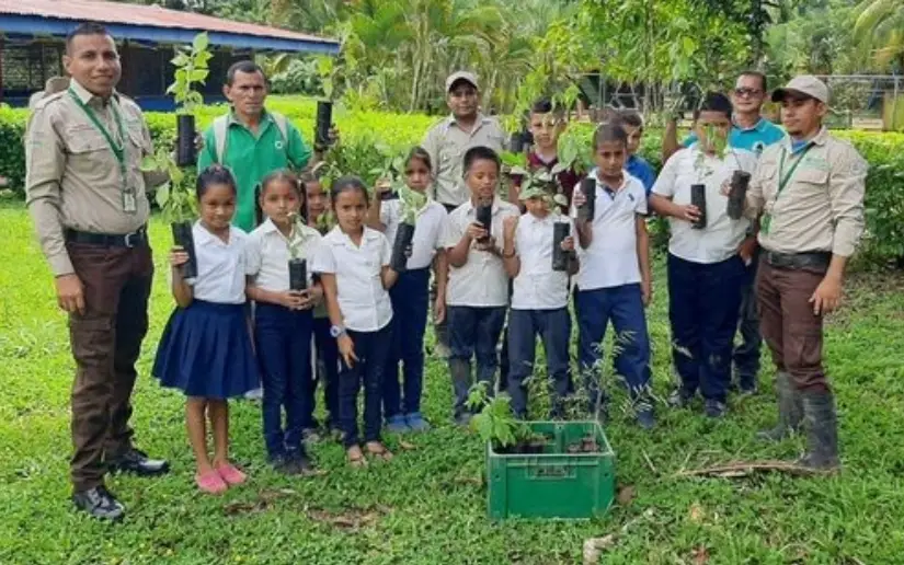 Con la campaña “Verde que te quiero verde” MARENA y el Movimiento Ambientalista Guardabarranco, proyectan  la siembra de 10 millones de plantas en el país para este año
#2026SiempreMásAllá