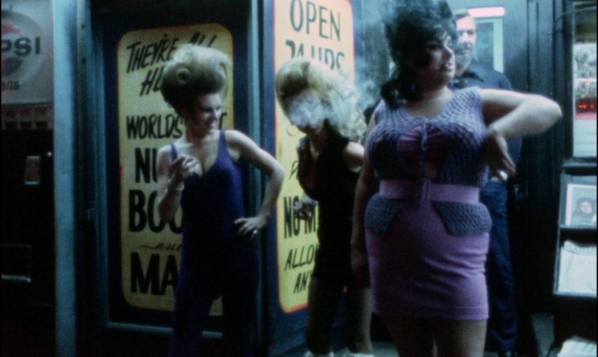 "I worry that you'll work  in an office, have children, celebrate wedding anniversaries. The world of the heterosexual is a sick and boring life."