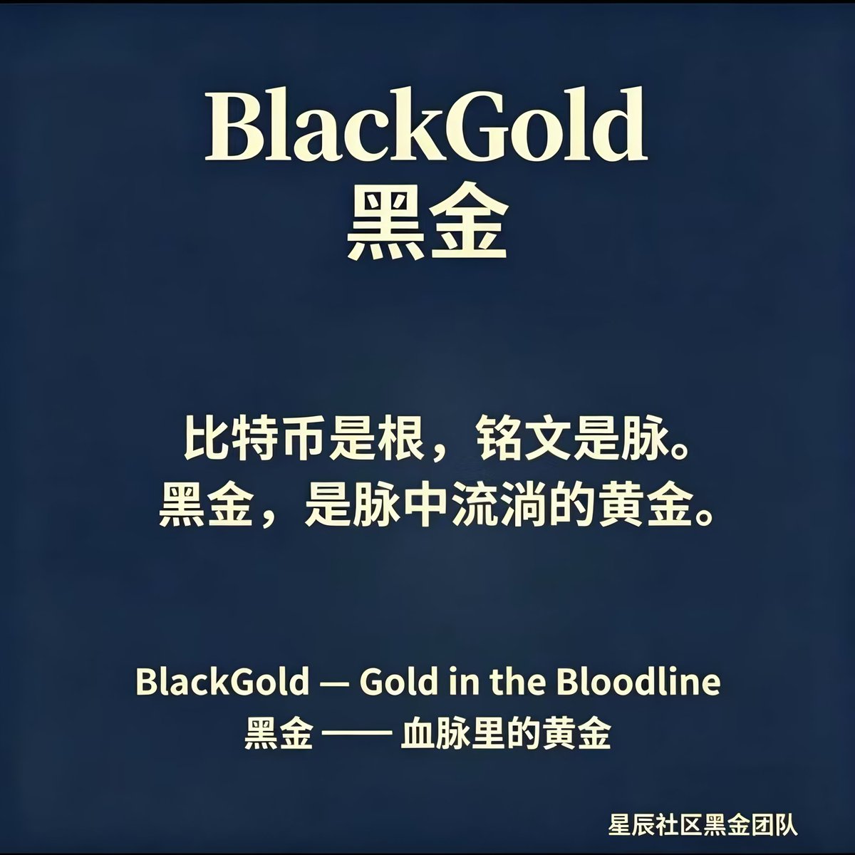 SijueQ26060's tweet image. 🔥🔥🔥4月27日宁波，铭文黑金(𝜫)线下会员日。
线上聊千遍，不如线下见一面。不是电话视频，是面对面。信任不需要包装，共识需要眼神。刘博士讲安全与未来，不吹不骗。低迷是暂时的，大门敞开，你来验证：不画大饼，不搞虚的，现场问、现场判。宁波欢迎你🤝

#铭文黑金(𝜫) #BRC20 ＃星辰社区