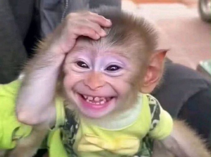 Afia Dimple🦋 tweet media