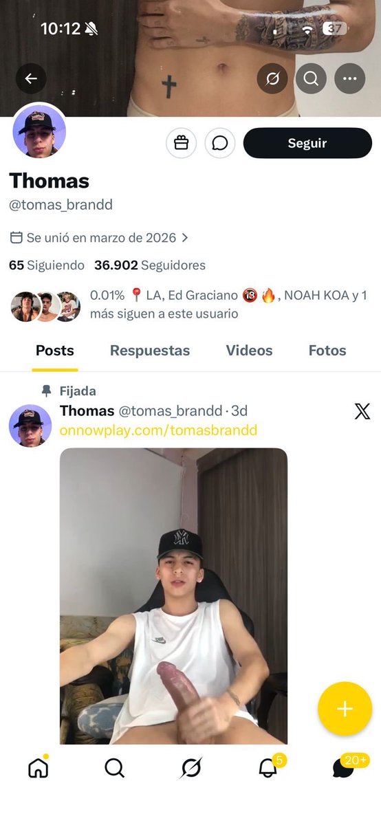 thomas_brandd tweet media