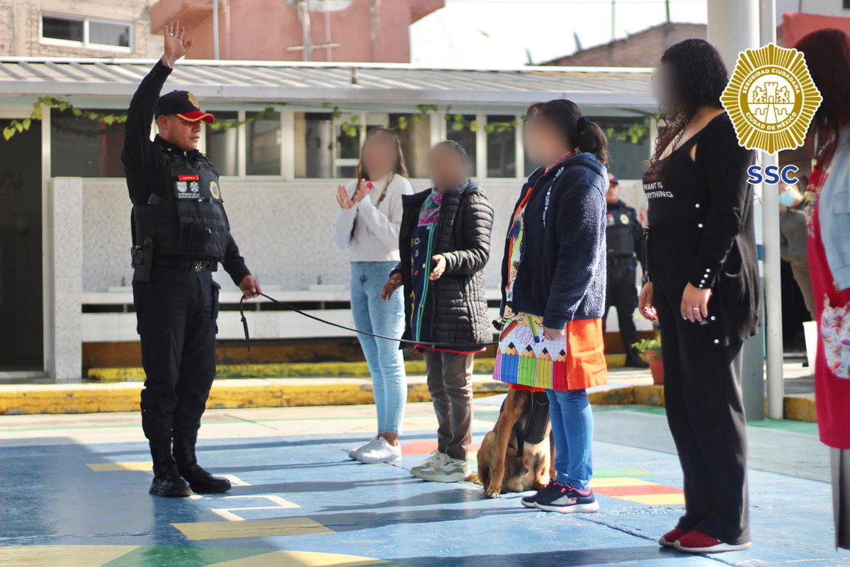 PBI_SSC's tweet image. La #PBI de la @SSC_CDMX llevó a cabo una exhibición canina 🐾 en el Jardín de Niños #Saltillo, en @AzcapotzalcoMx, en la que #Kratos y #Zeus mostraron sus habilidades y tuvieron la oportunidad de convivir con las y los pequeños.

Estas acciones fortalecen la proximidad social y