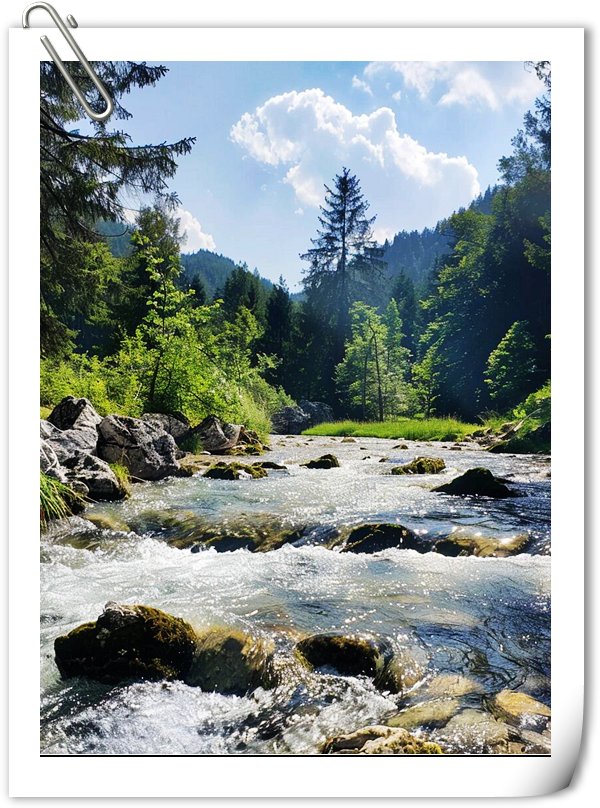 Leah Foley tweet media