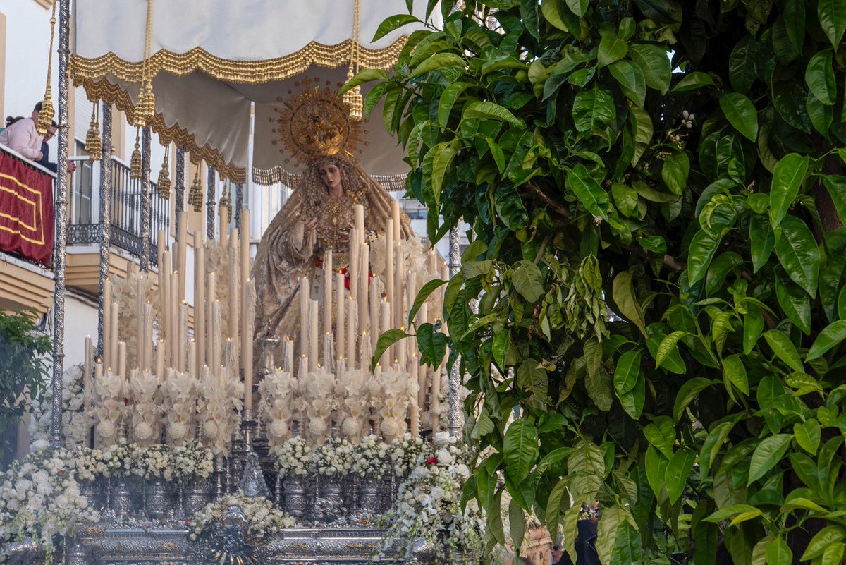 Hace tres semanas, Nuestra Señora de la Paz realizaba su primera salida procesional.

Un momento único, lleno de emoción, que quedará para siempre en la memoria de todos. 

📸 Julio Moreno Barquín

🕊️🖤🤍