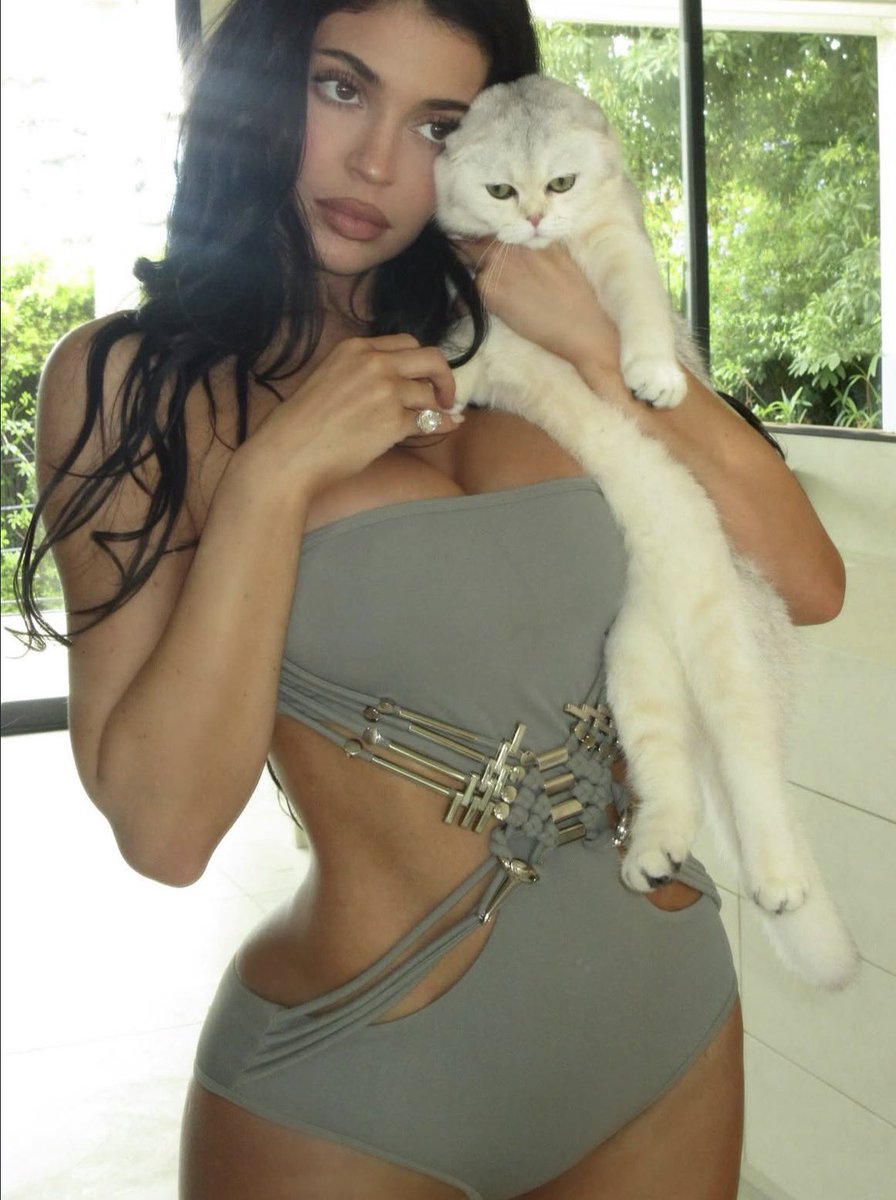 Kylie.⋆˚࿔ tweet media