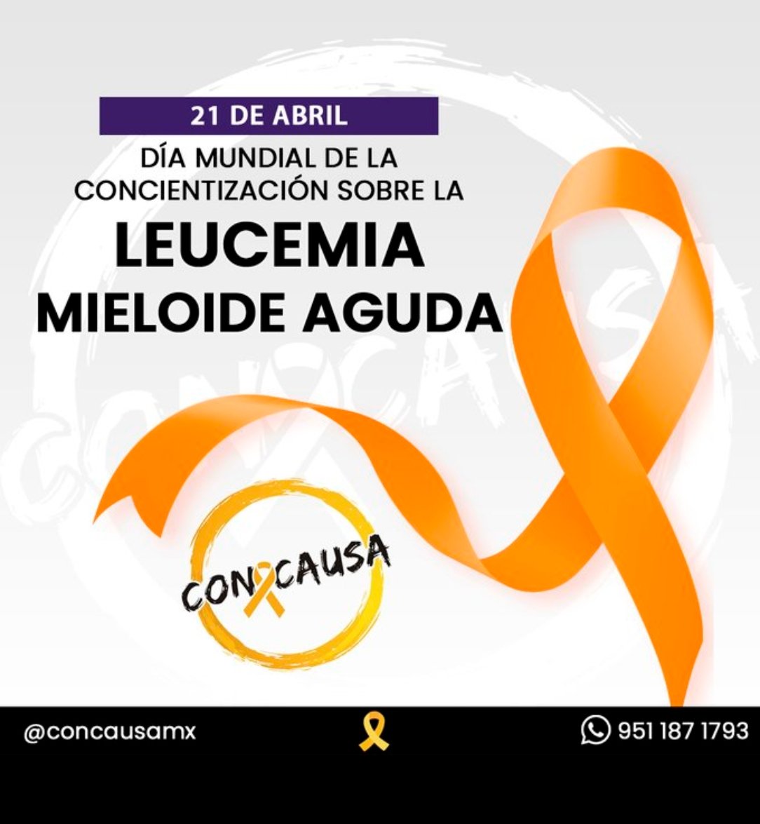 Lorena Pérez Hernánd tweet media