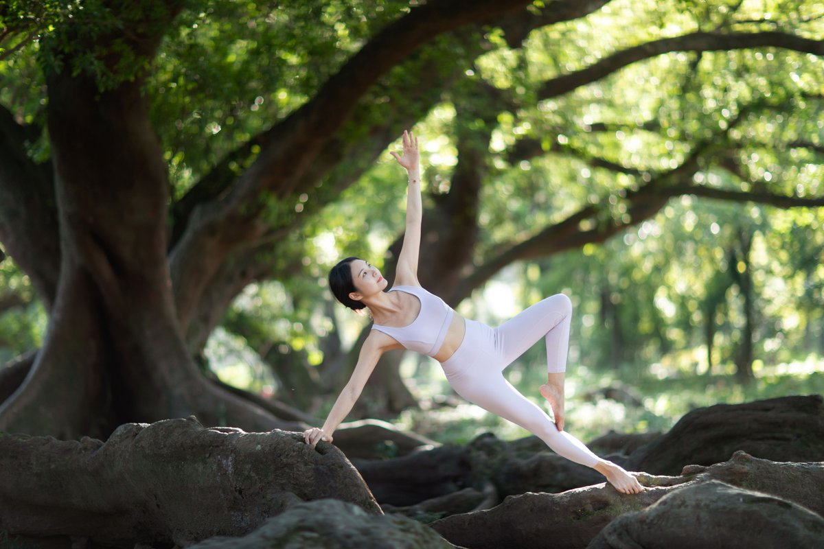 David Whittaker tweet media