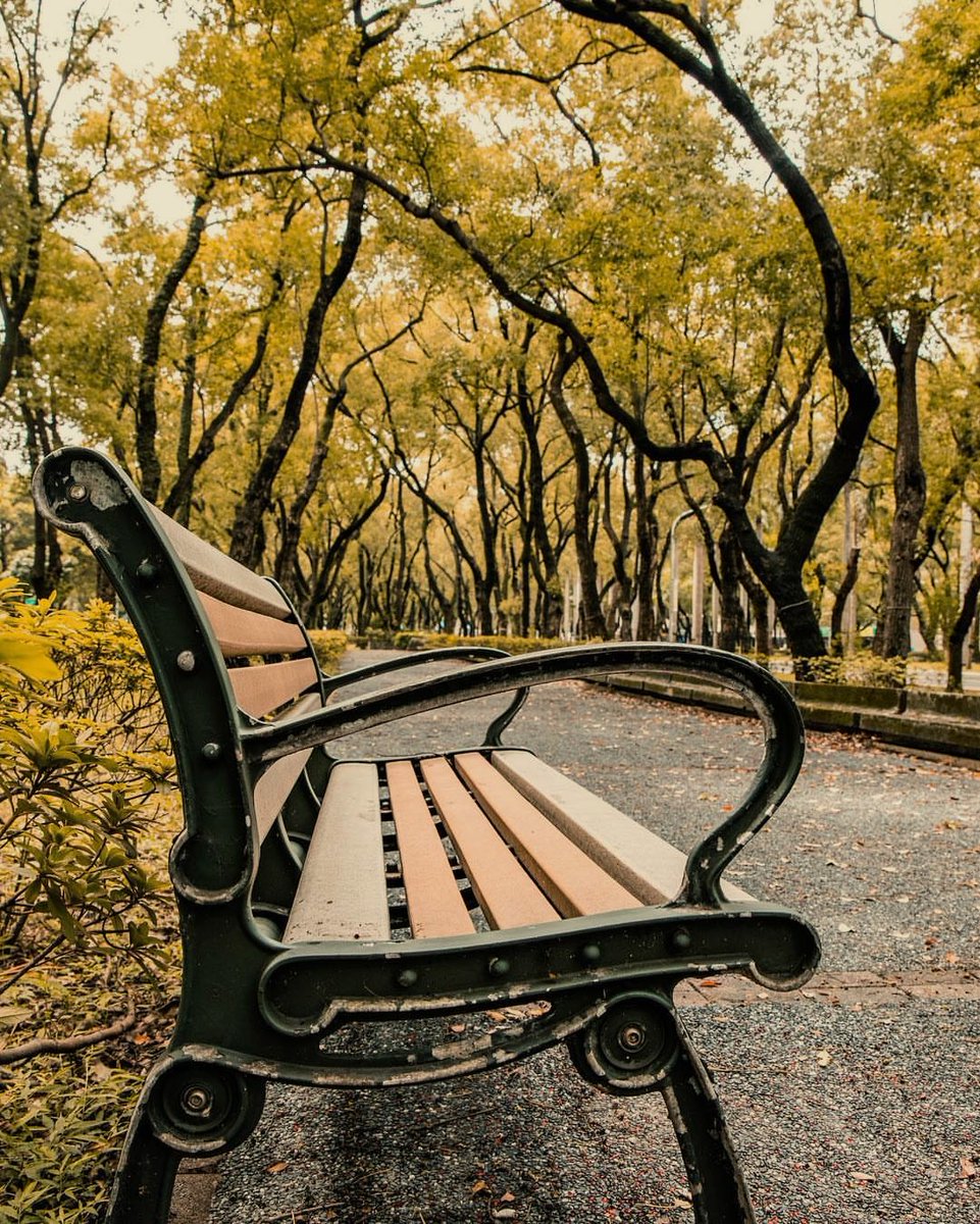 Life becomes tender and serene when you allow it to unfold naturally.