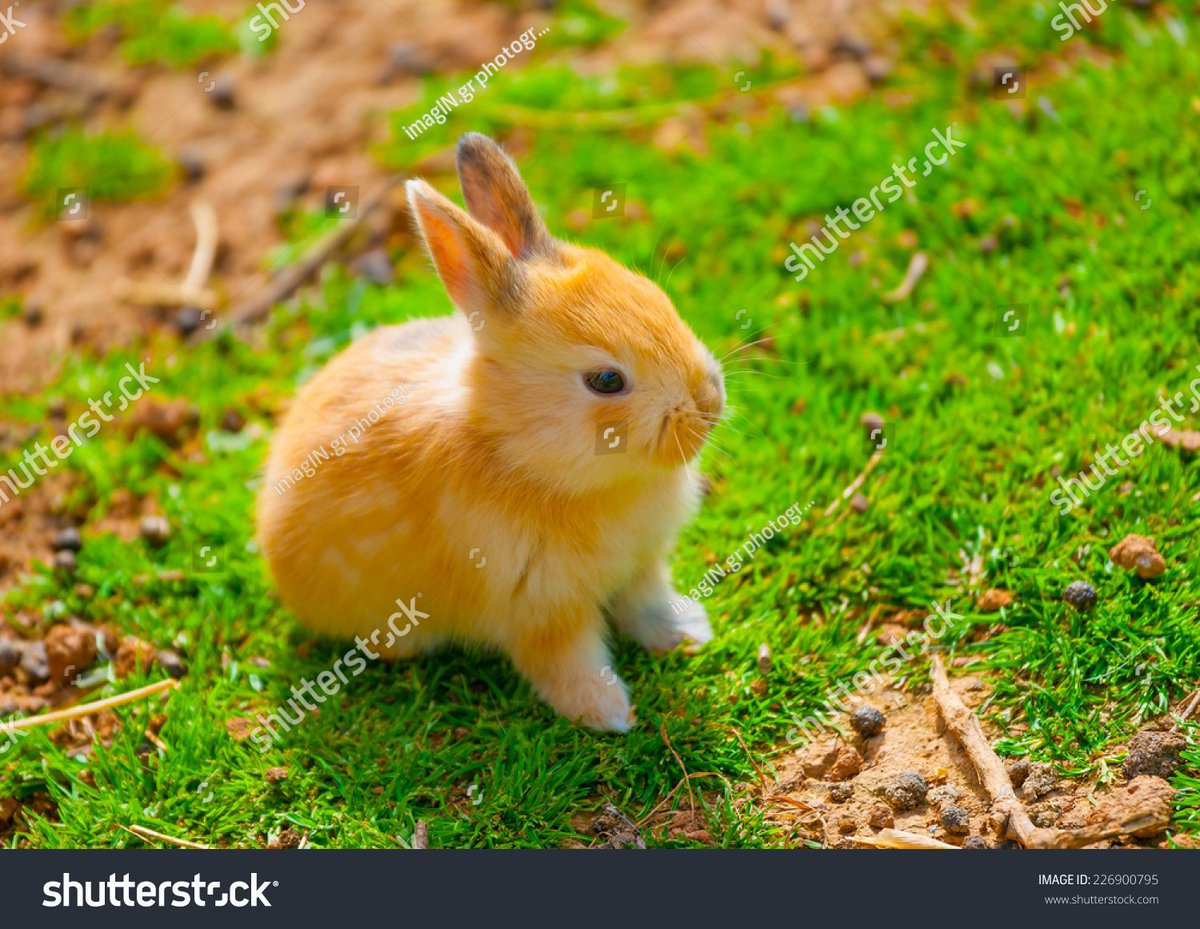 Azul🍉🇵🇸 tweet media