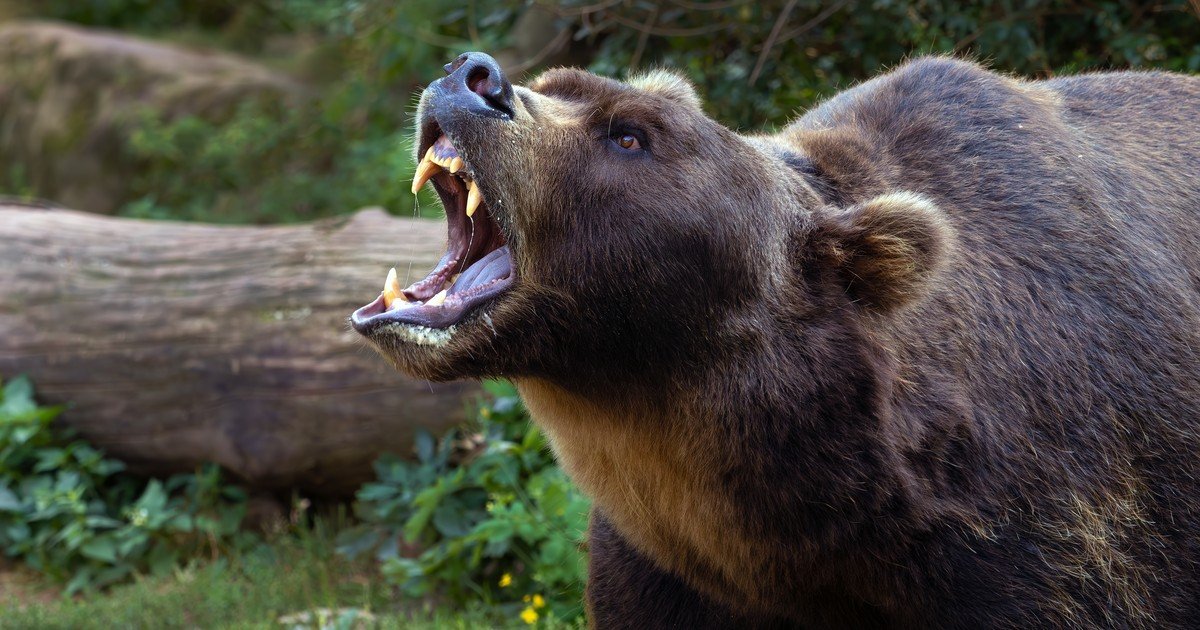 Andrzej Zapałowski tweet media