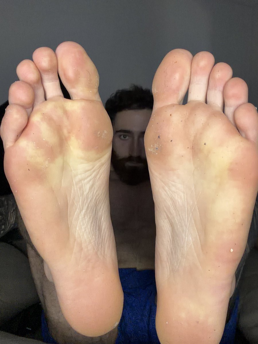 Alpha Brad tweet media