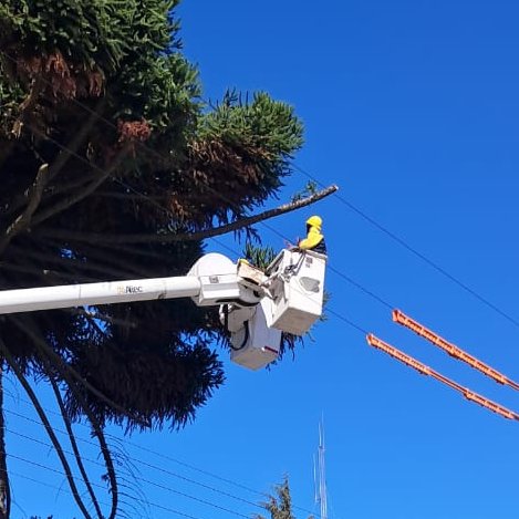 CGE_Clientes's tweet photo. Nuestras brigadas 👷🏻‍♂️ realizan trabajos de despeje de vegetación cercana a líneas eléctricas en el centro de la comuna de #Coelemu. Estas labores benefician la continuidad del suministro eléctrico ⚡ #PlanInviernoCGE https://t.co/SJW1SGU4Fv