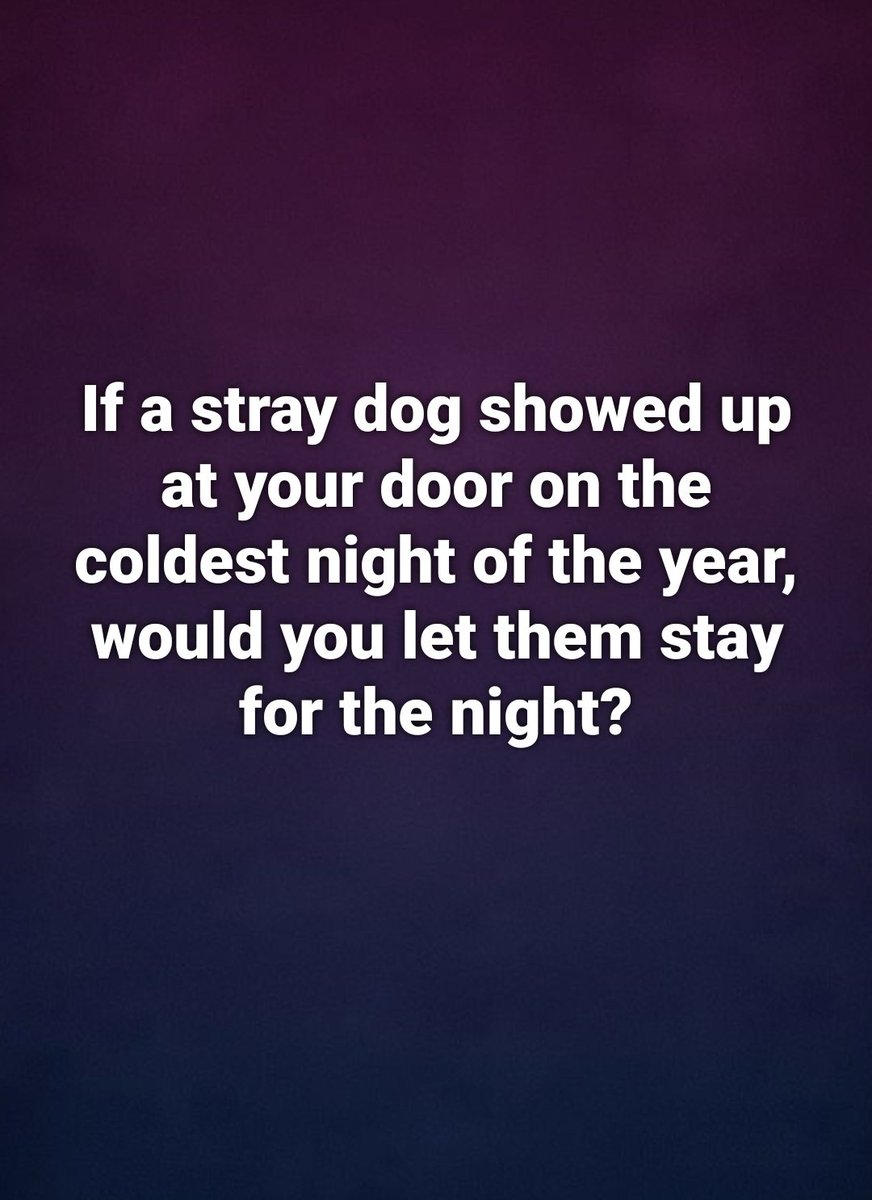 Elizabeth❣️ tweet media