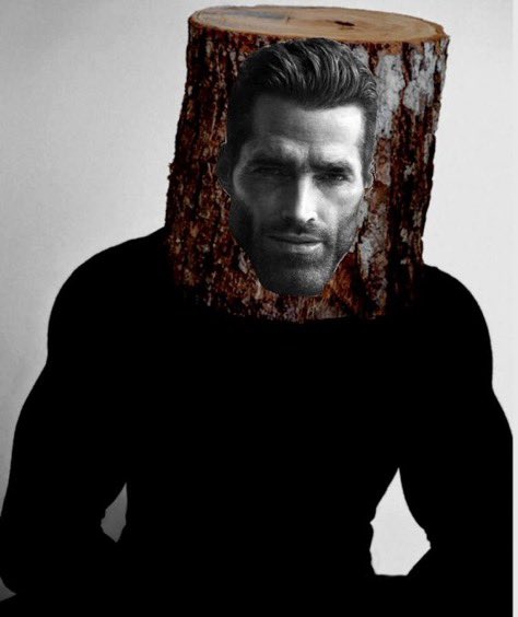 VerdaVulpes tweet media