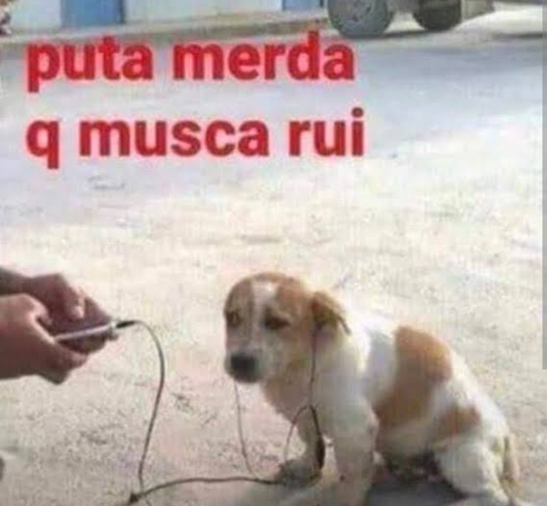 Couttimᶠᵉᶜ tweet media