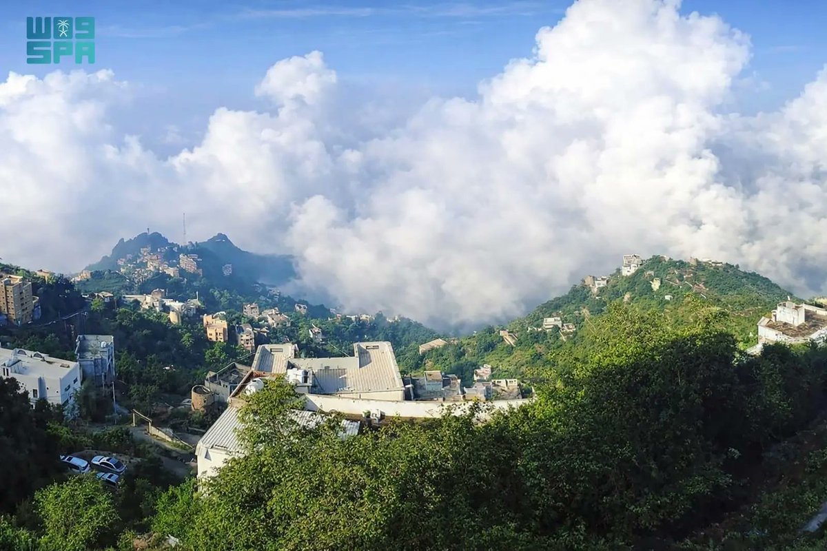 سعد بن محمد العمري🇸🇦 tweet media