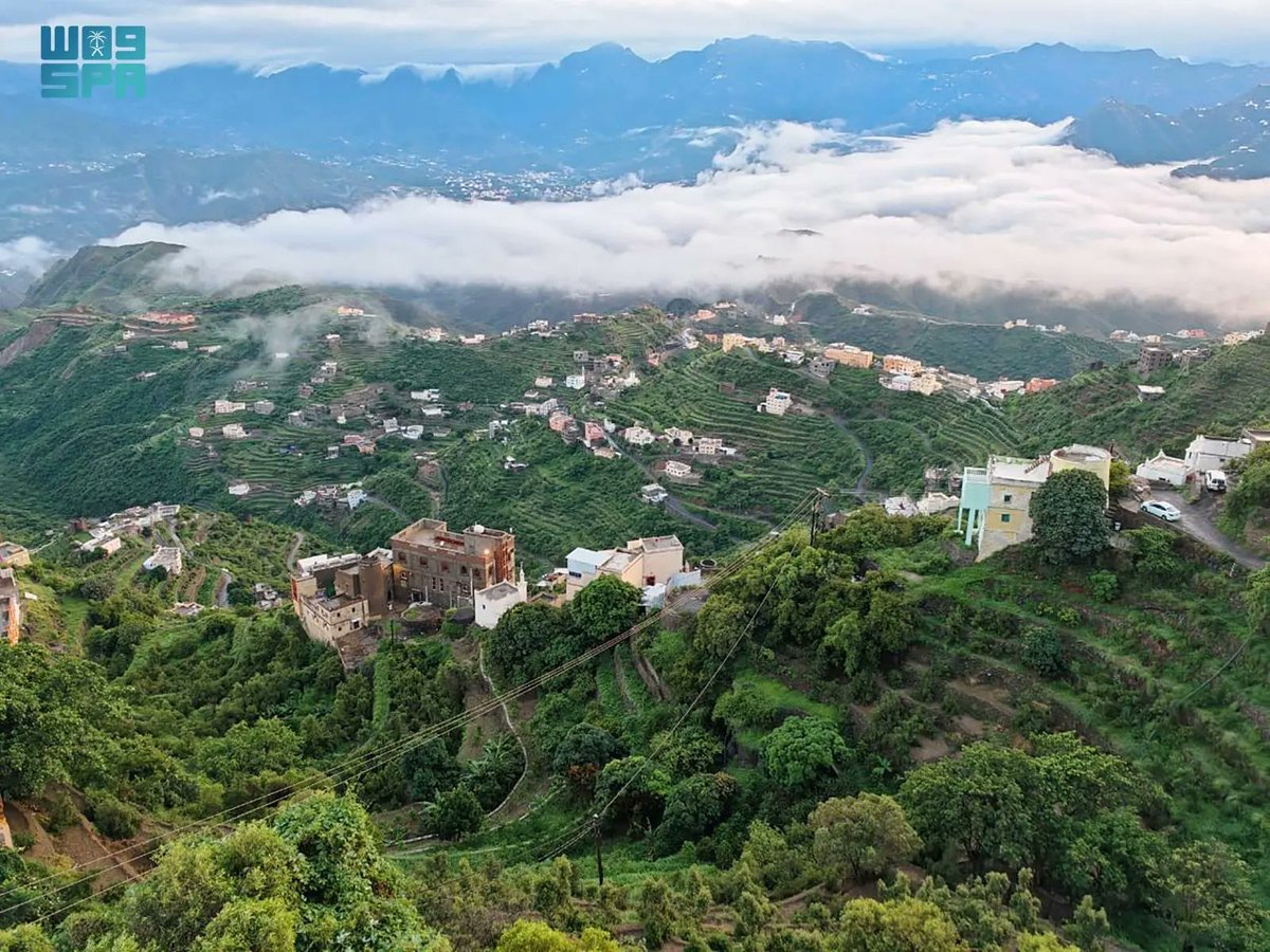 سعد بن محمد العمري🇸🇦 tweet media