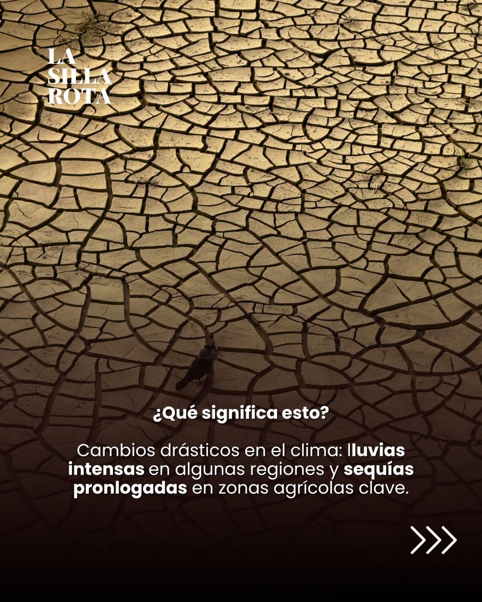 lasillarota's tweet photo. https://t.co/7UYzG4gHAV