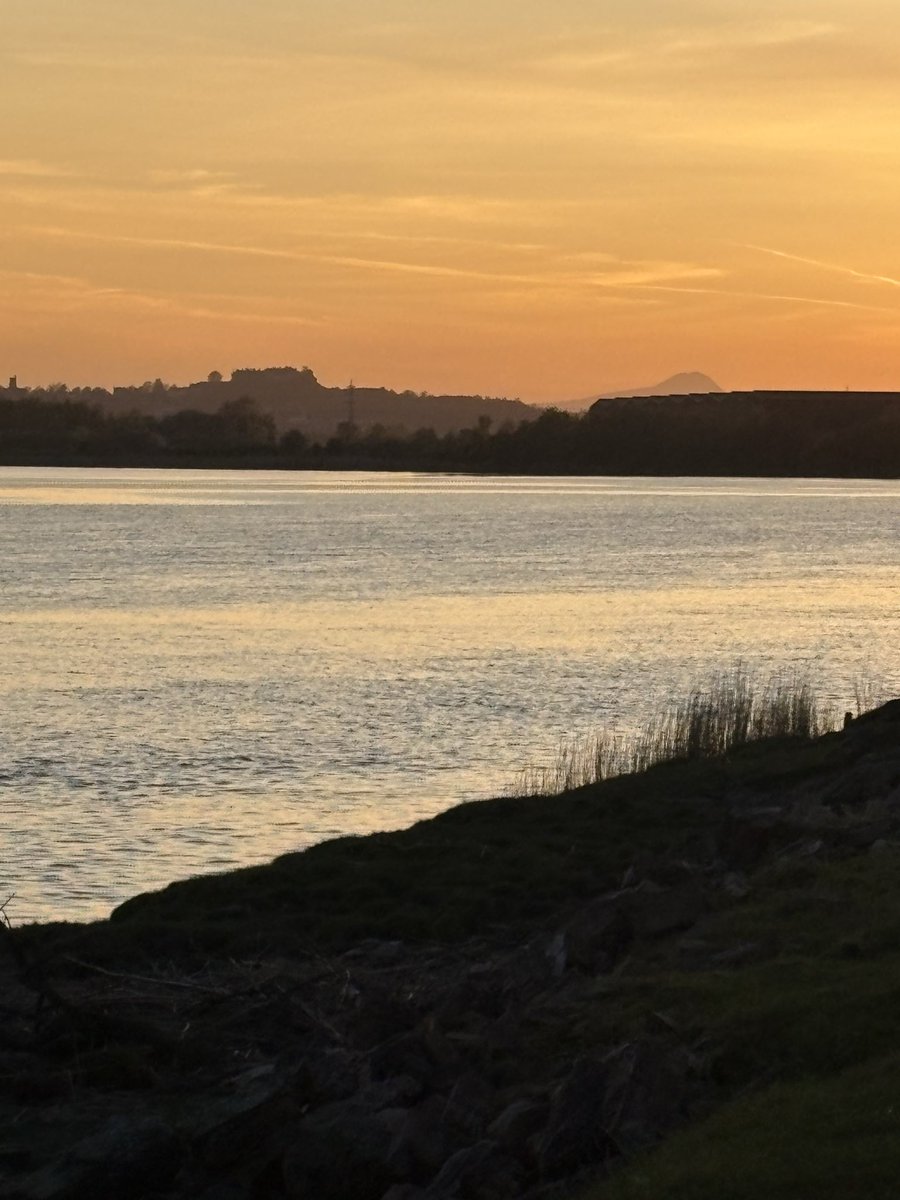 Craig O’Connor tweet media