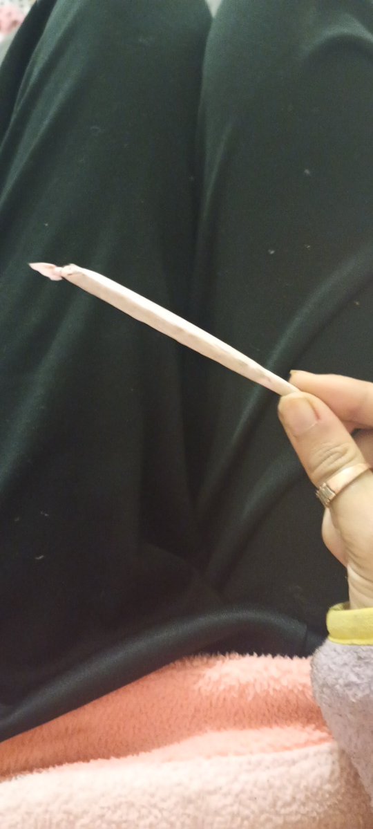 Angel (⁠人⁠*⁠´⁠∀⁠｀⁠)⁠｡⁠*ﾟ⁠+shedtwt 🪽 tweet media