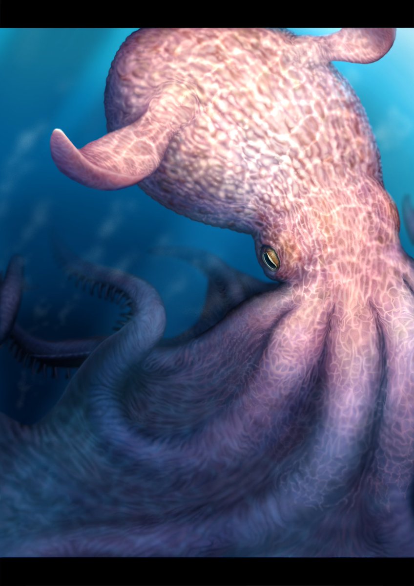 OHP95kg ウツシロ　ハルヒラ tweet media