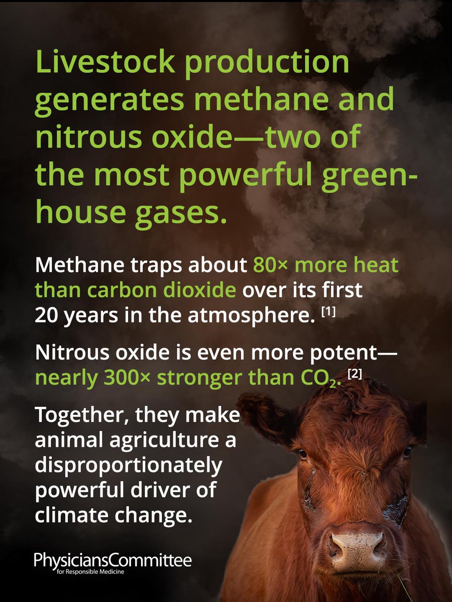 PCRM's tweet image. We don’t usually think about our food when we talk about climate change, but we should.

The global food system produces ~1/3 of all greenhouse gas emissions.

Learn more at PCRM.org/Climate

#ClimateChange #Sustainability #Environment